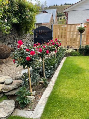 Miners Lane Guest House クライド エクステリア 写真